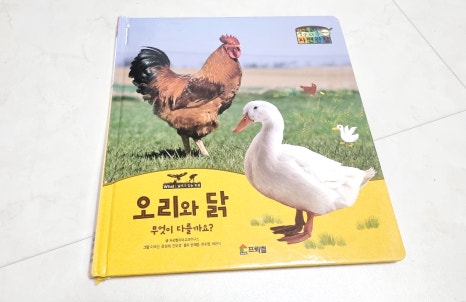 꼬꼬닭/안녕닭 이미지