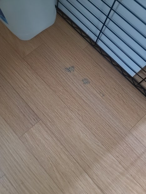 잉크마루 이미지