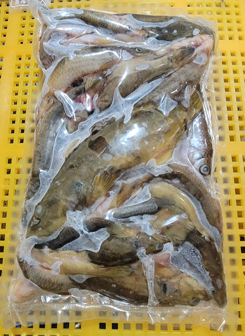 민물자연수산 이미지