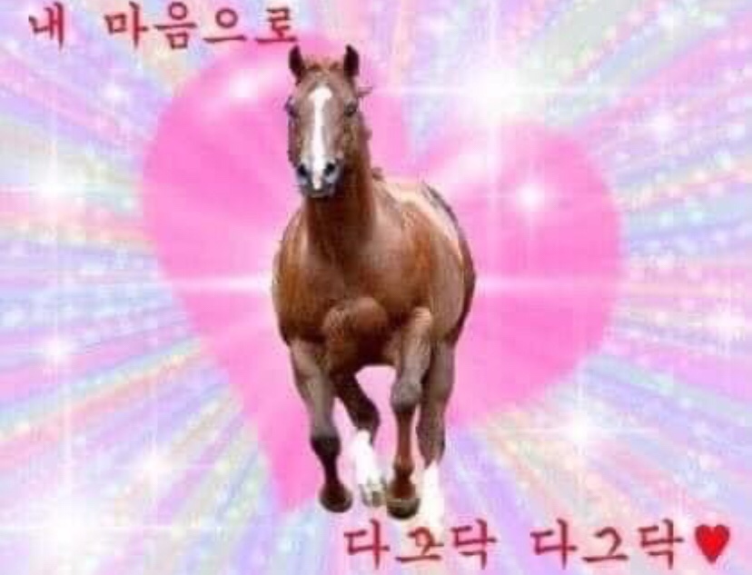 플레이스엉물 이미지