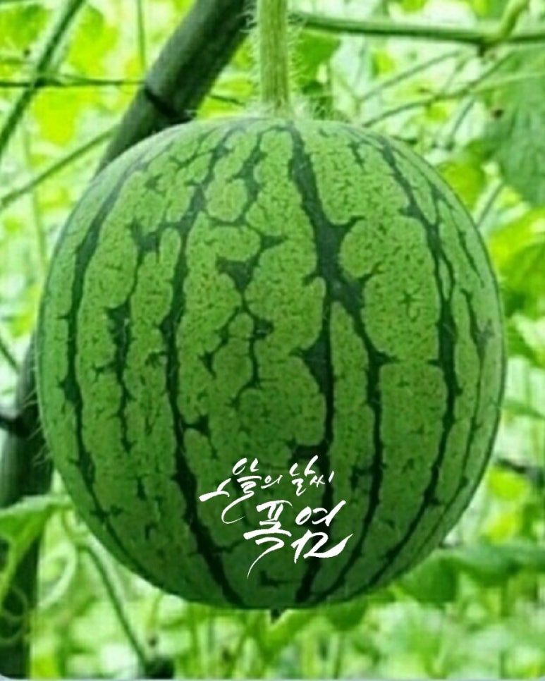 조은클리닝 이미지