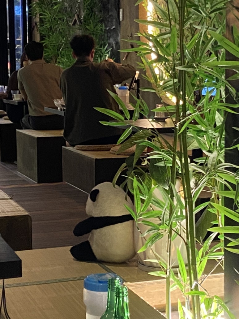 풍바오 이미지