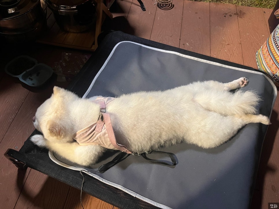 구화산바베큐 이미지