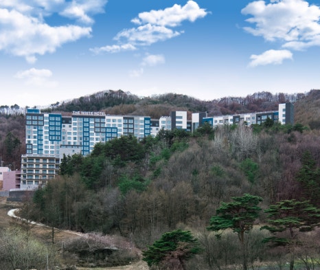 더화이트호텔리조트 이미지