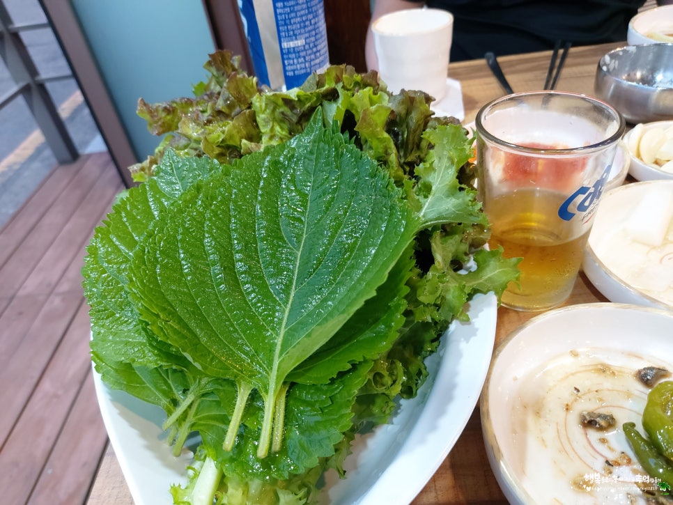 우돈나라 이미지