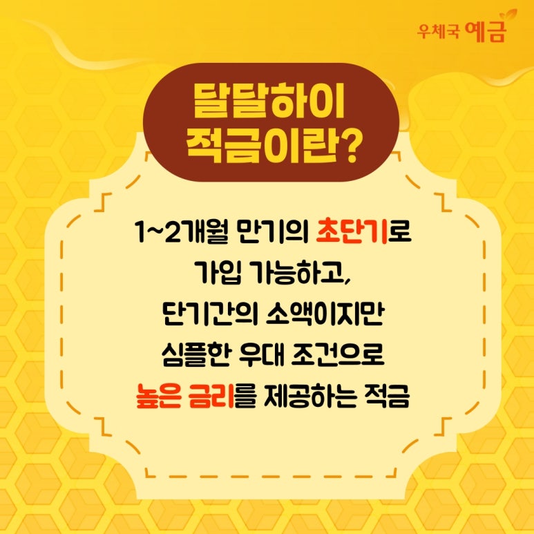 단하이 이미지