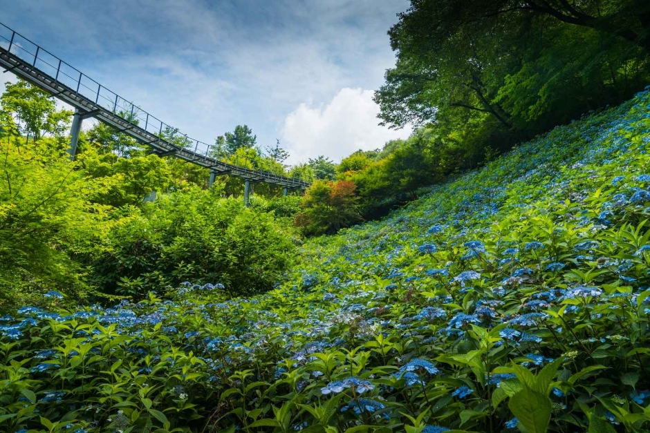 화담조경 이미지
