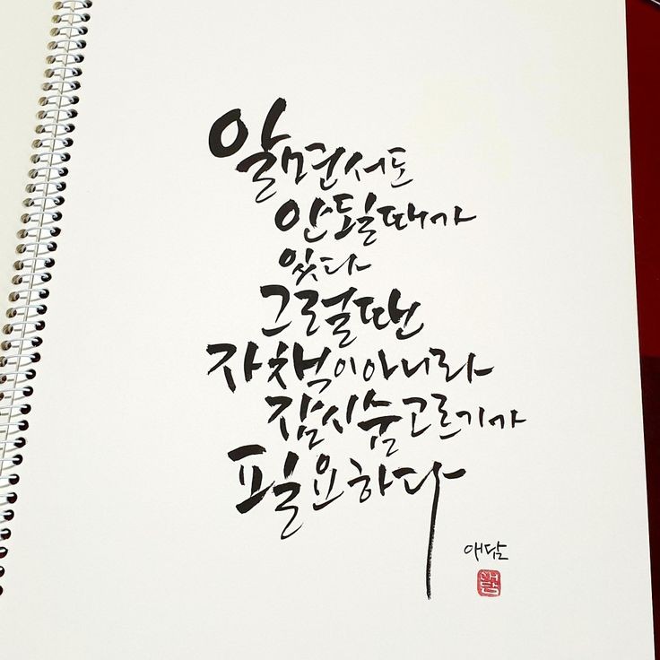 샌드빈 이미지