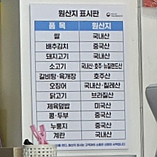 동일반점 이미지