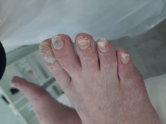 레푸스앤두두뷰티 이미지