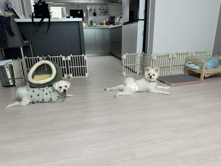 밍디하우스 이미지