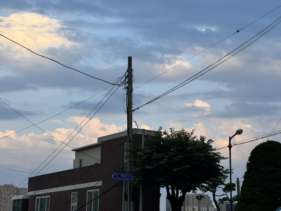 BAR417 이미지