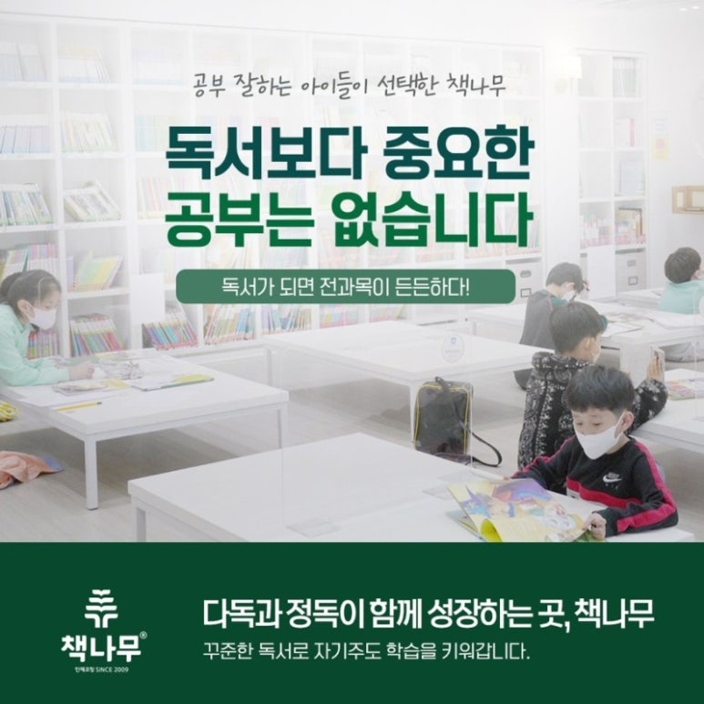 책나무 이미지