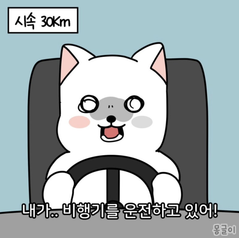 맹드라이브운전면허 이미지