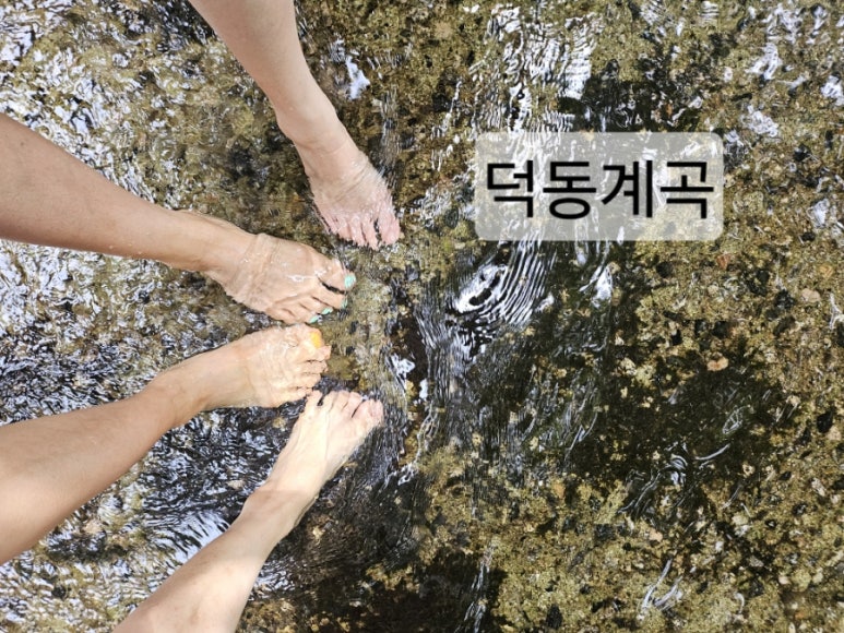 석동숯불구이 이미지