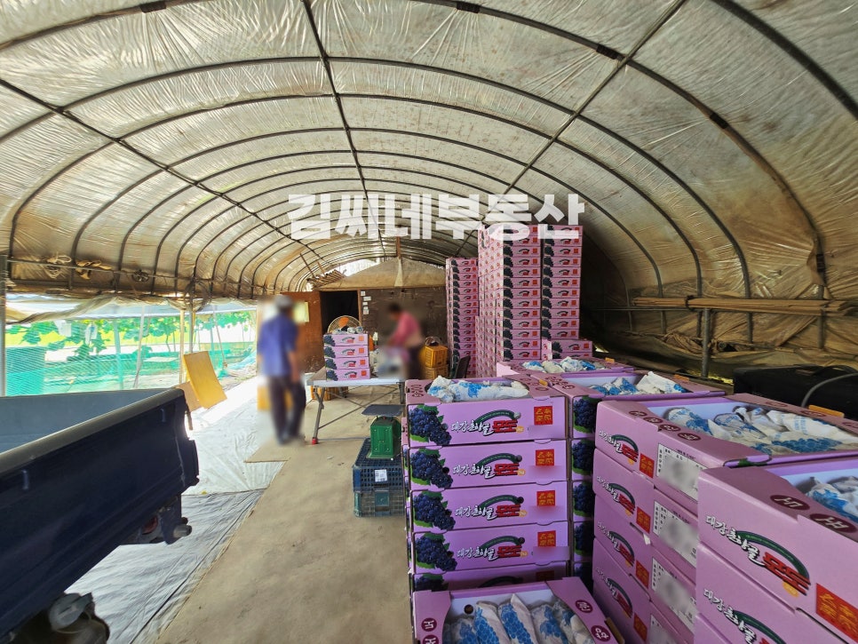 흥부골농원 이미지