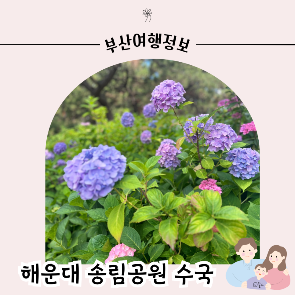 송림대중 이미지