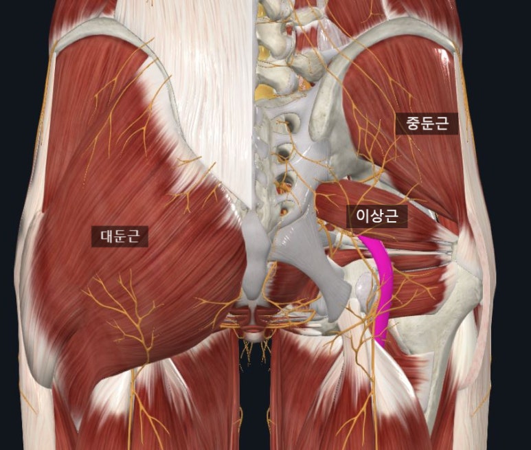 조이앤부부한의원 이미지