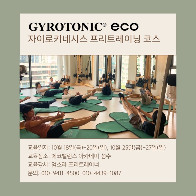 자이로토닉에코 이미지
