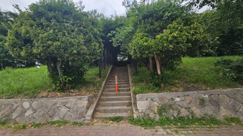 신호등카서비스 이미지