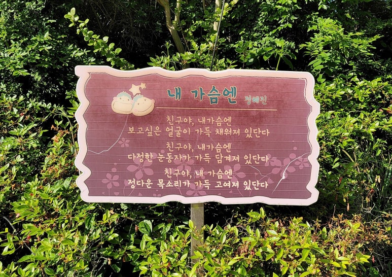 장동초등학교 이미지