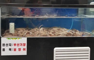 풍천장어와부산꼼장어 이미지