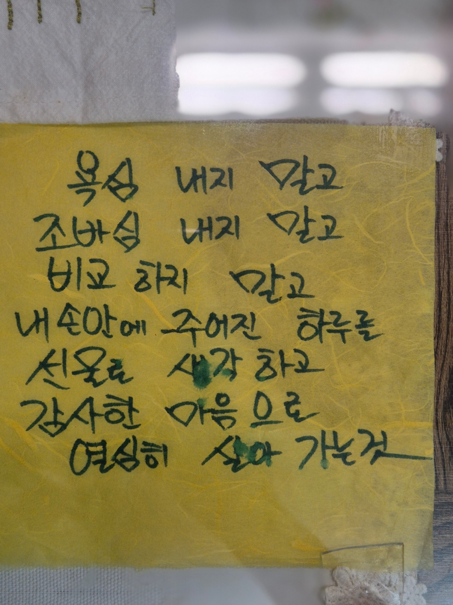 윤하정아구찜 이미지