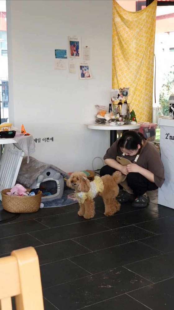 이나커피 이미지