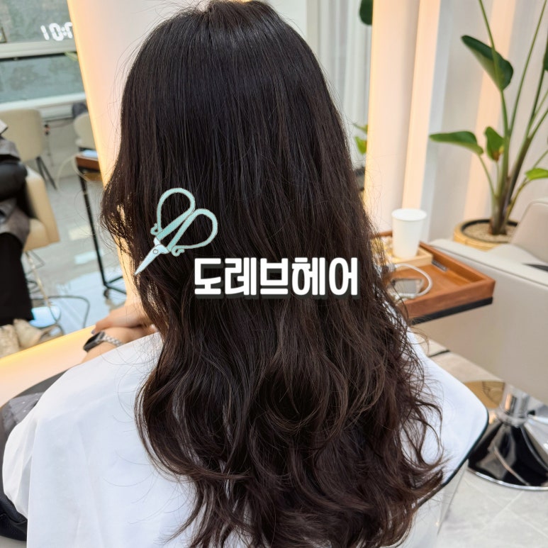 도레브헤어 이미지