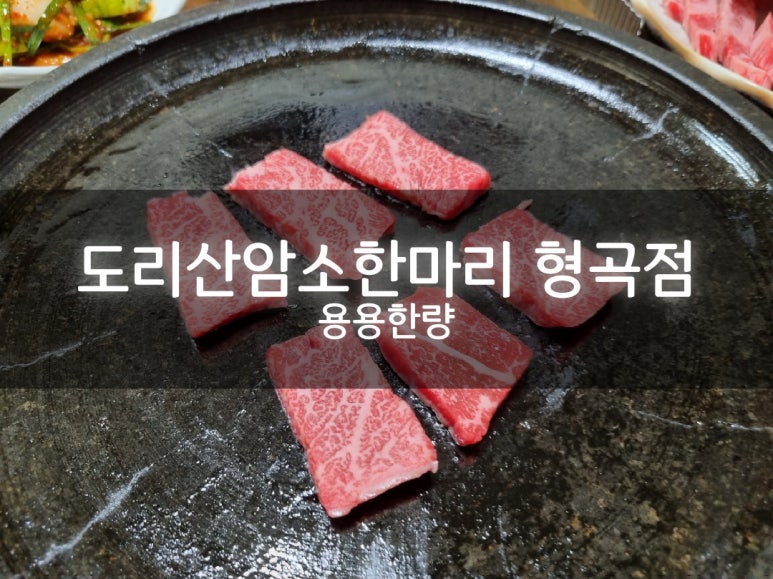 도리산암소한마리 이미지