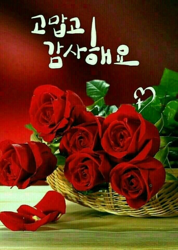 멋진하루 이미지