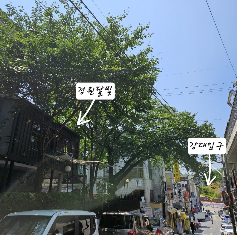 메가커피강원대점 이미지
