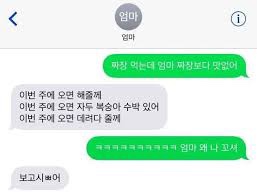 티앤티몰 이미지