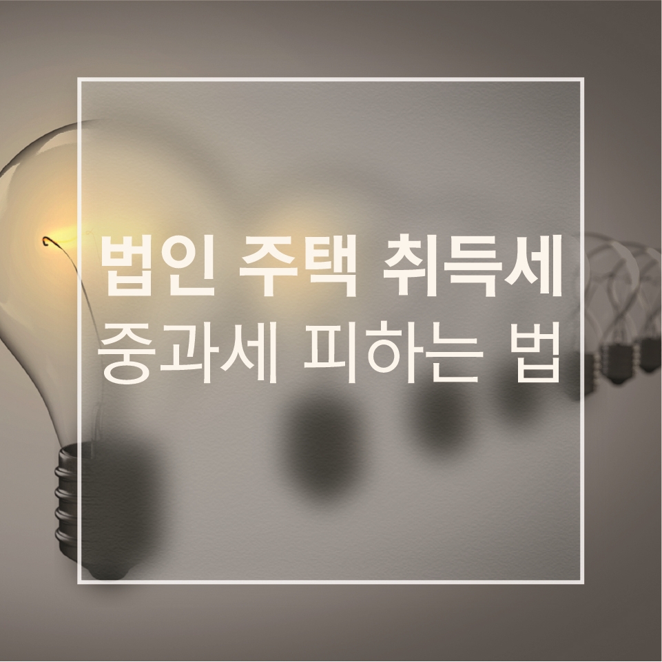 세무법인조율 이미지