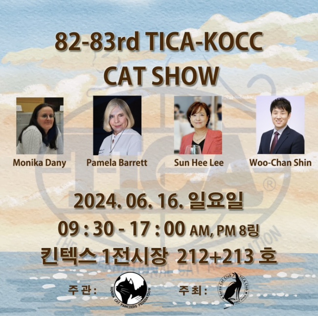 샤인모어 이미지