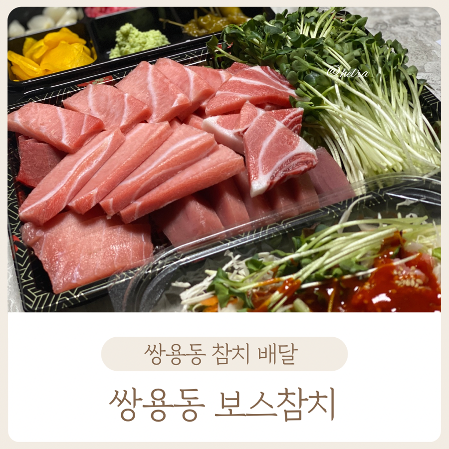 보스참치 이미지