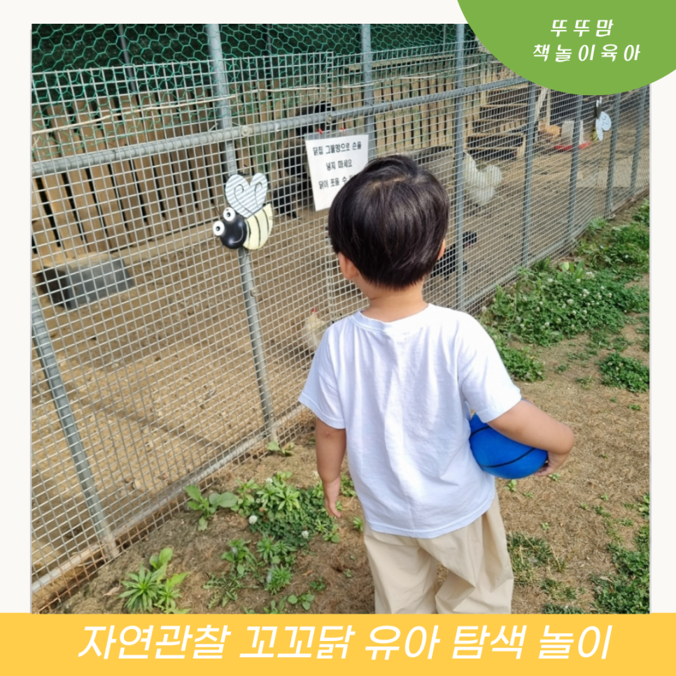 꼬꼬닭/안녕닭 이미지