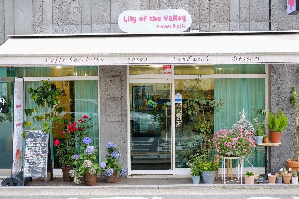 릴리 Lily of the valley 대표 사진