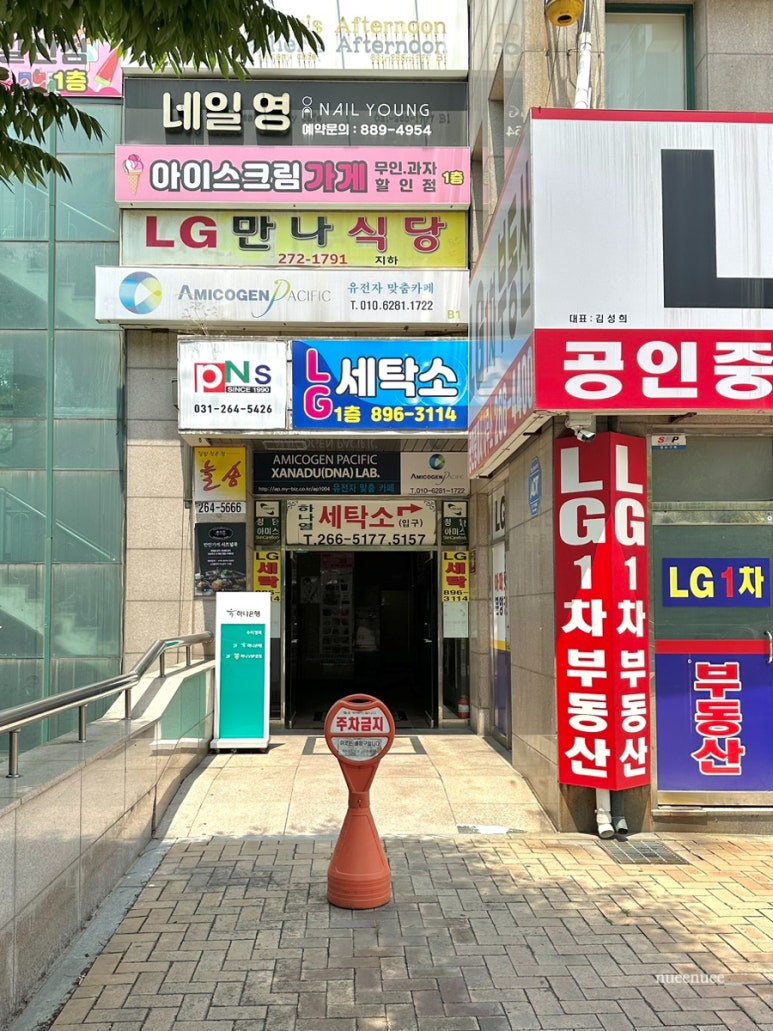 시즈널쿡 이미지