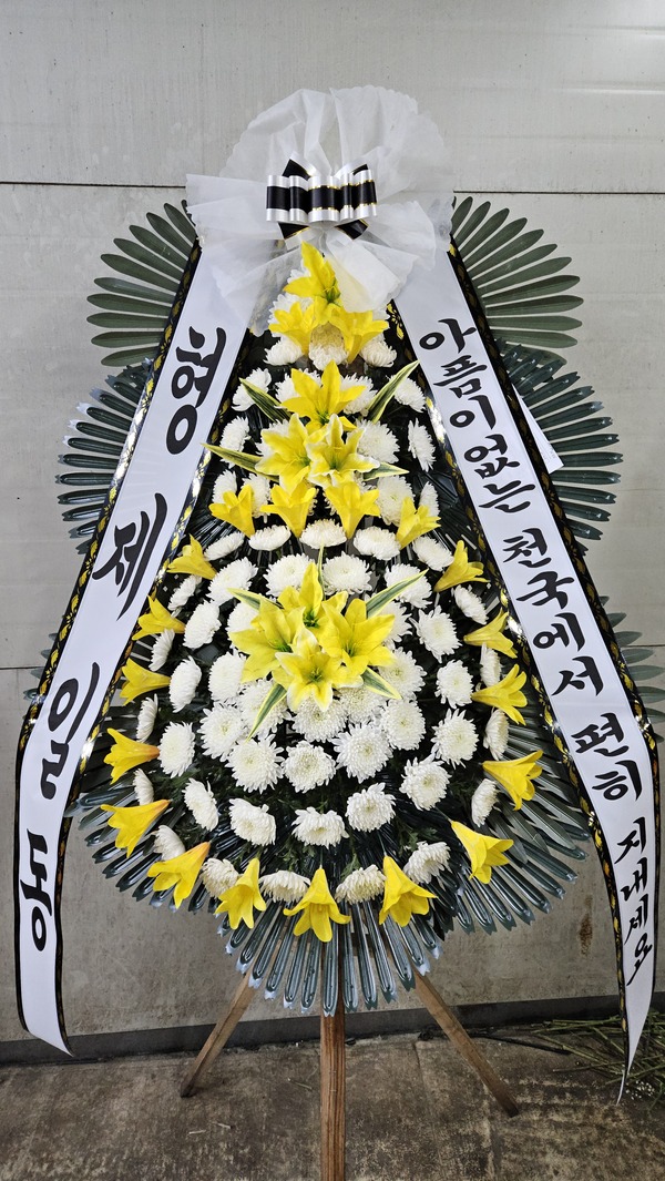 금성장례식장 이미지