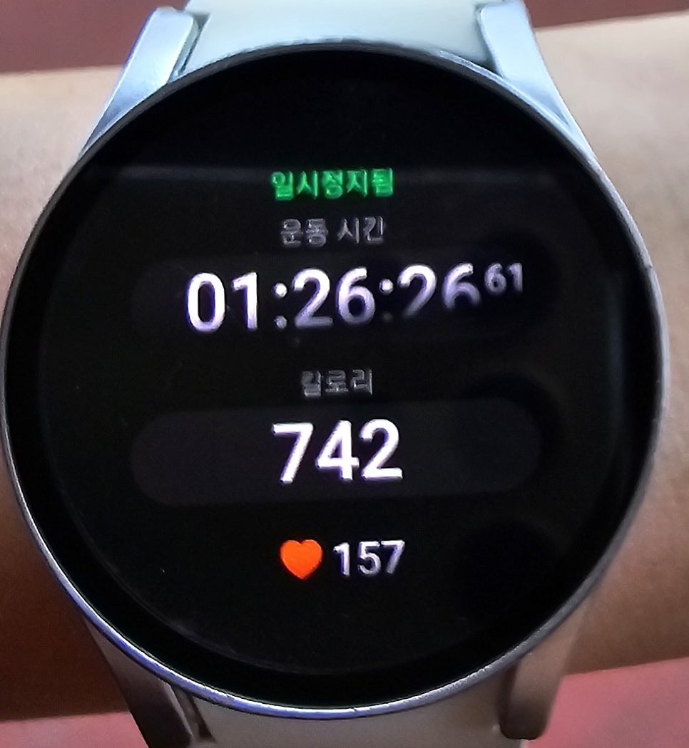 크로스핏플랜비 이미지