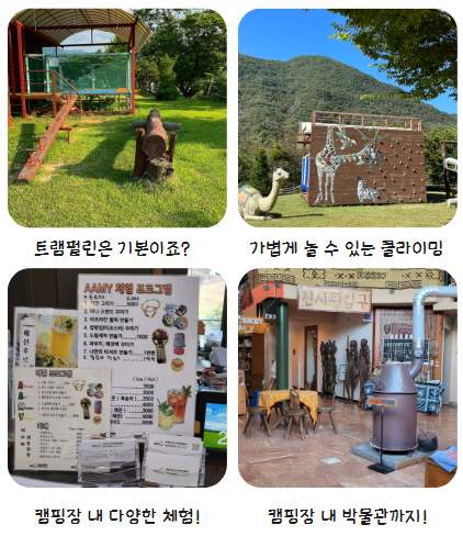 에이미캠핑장 이미지