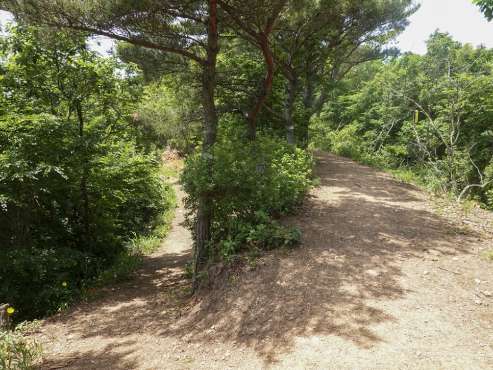 바다숲 풀내음 이미지