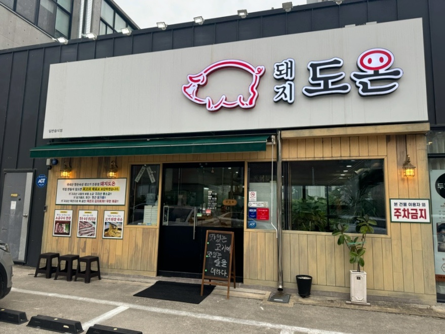 돼지도온 이미지