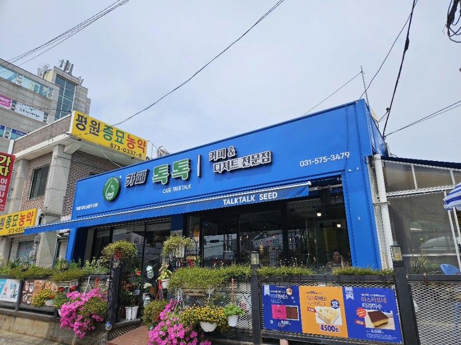 톡톡씨드 이미지