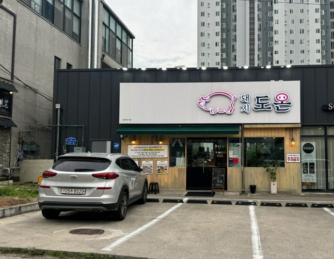 돼지도온 이미지