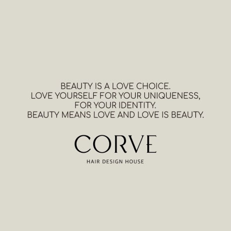 코르브(CORVE) 이미지