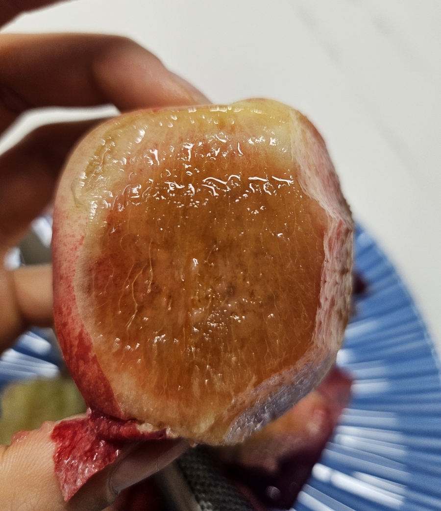 프레델 이미지