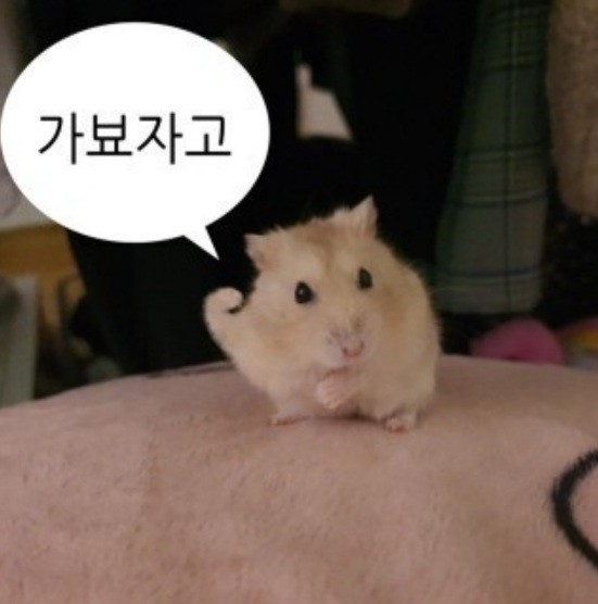 윤아헤어 이미지