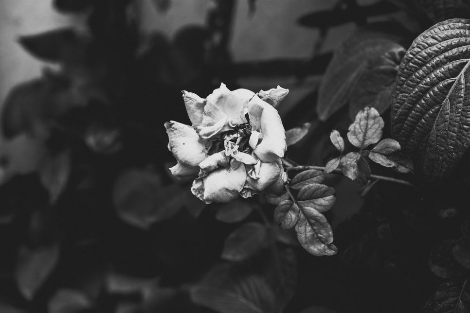 세담산업 이미지